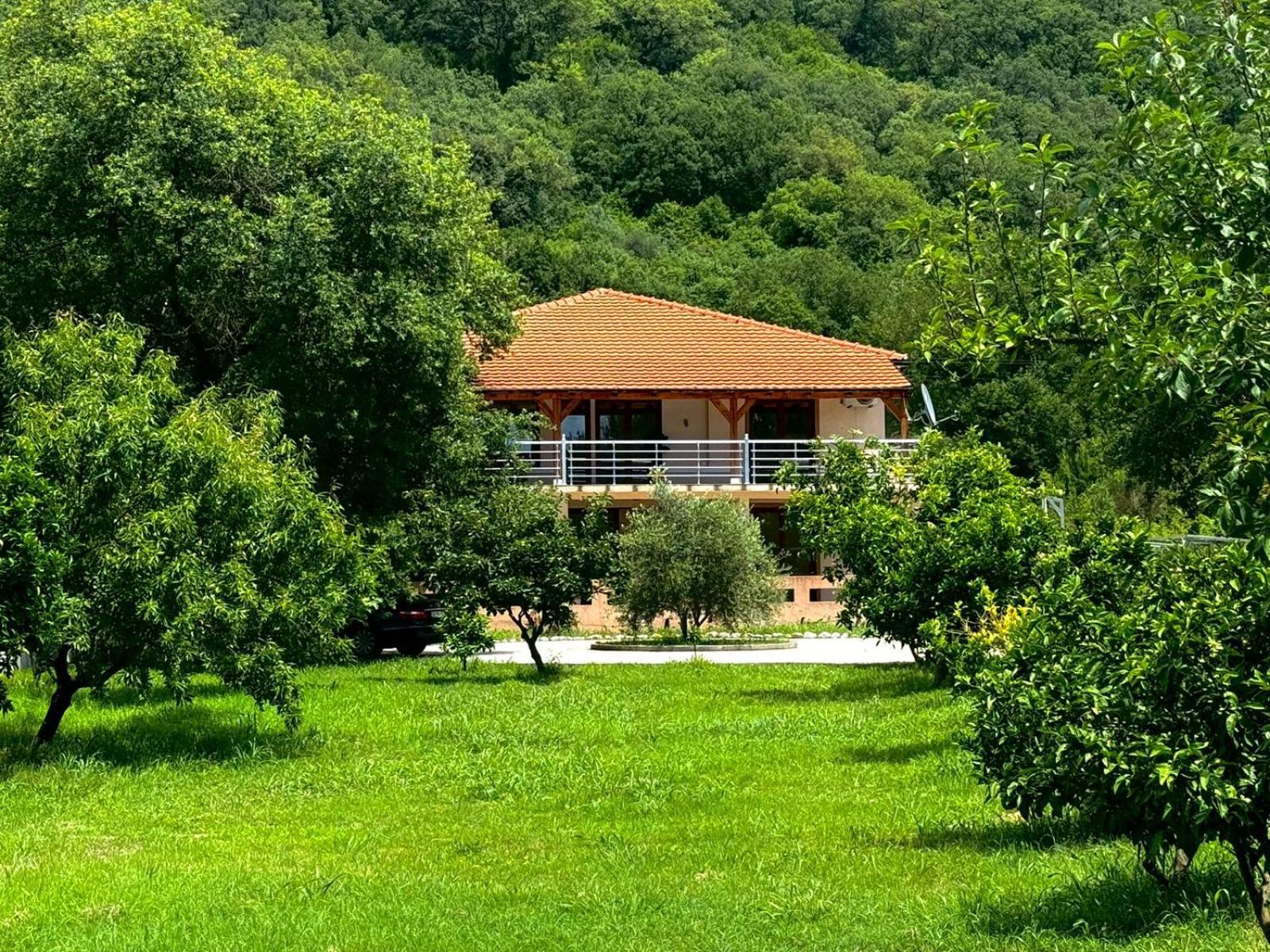 Stars Residence Petrovac Extérieur photo